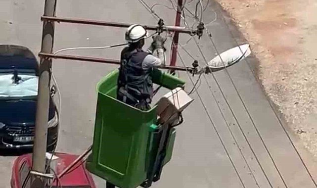 Elektrik tellerine takılan kuş kurtarıldı