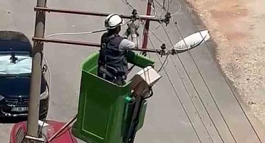 Elektrik tellerine takılan kuş kurtarıldı