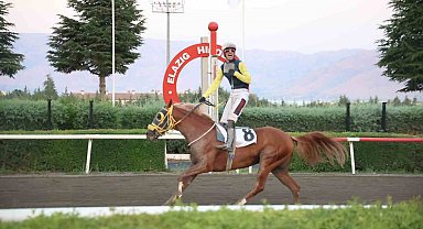 Valilik koşusunda zafer Nesib'in